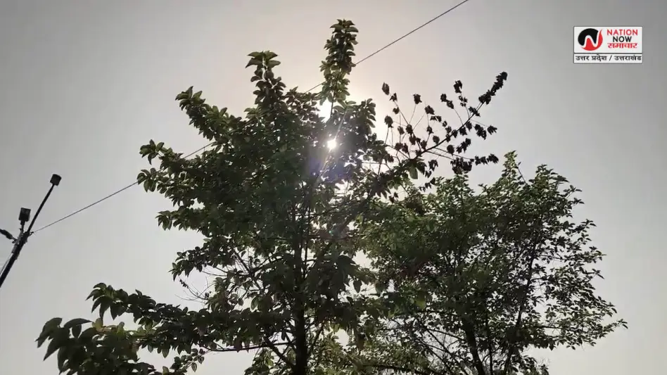 AURAIYA HEATWAVE: औरैया में 43 डिग्री तापमान का कहर, जिला प्रशासन ने जारी की हीट वेव एडवाइजरी