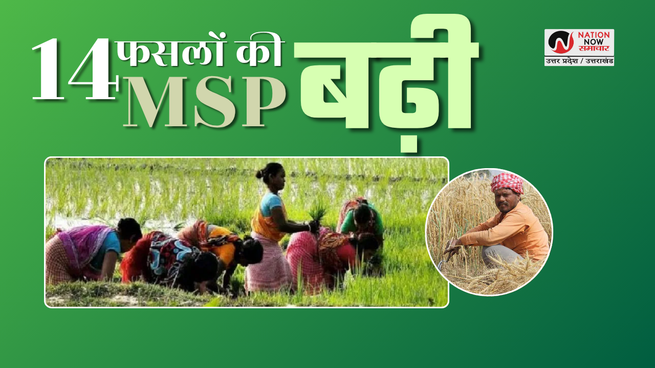 MSP PRICE HIKE UPDATE: किसानों को तोहफा, खरीफ की 14 फसलों की MSP बढ़ी, KCC पर मिलेगा सस्ता लोन