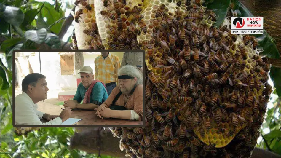 Etawah School Bee Attack: इटावा में योगाभ्यास के दौरान मधुमक्खियों का हमला, आधा दर्जन बच्चे घायल