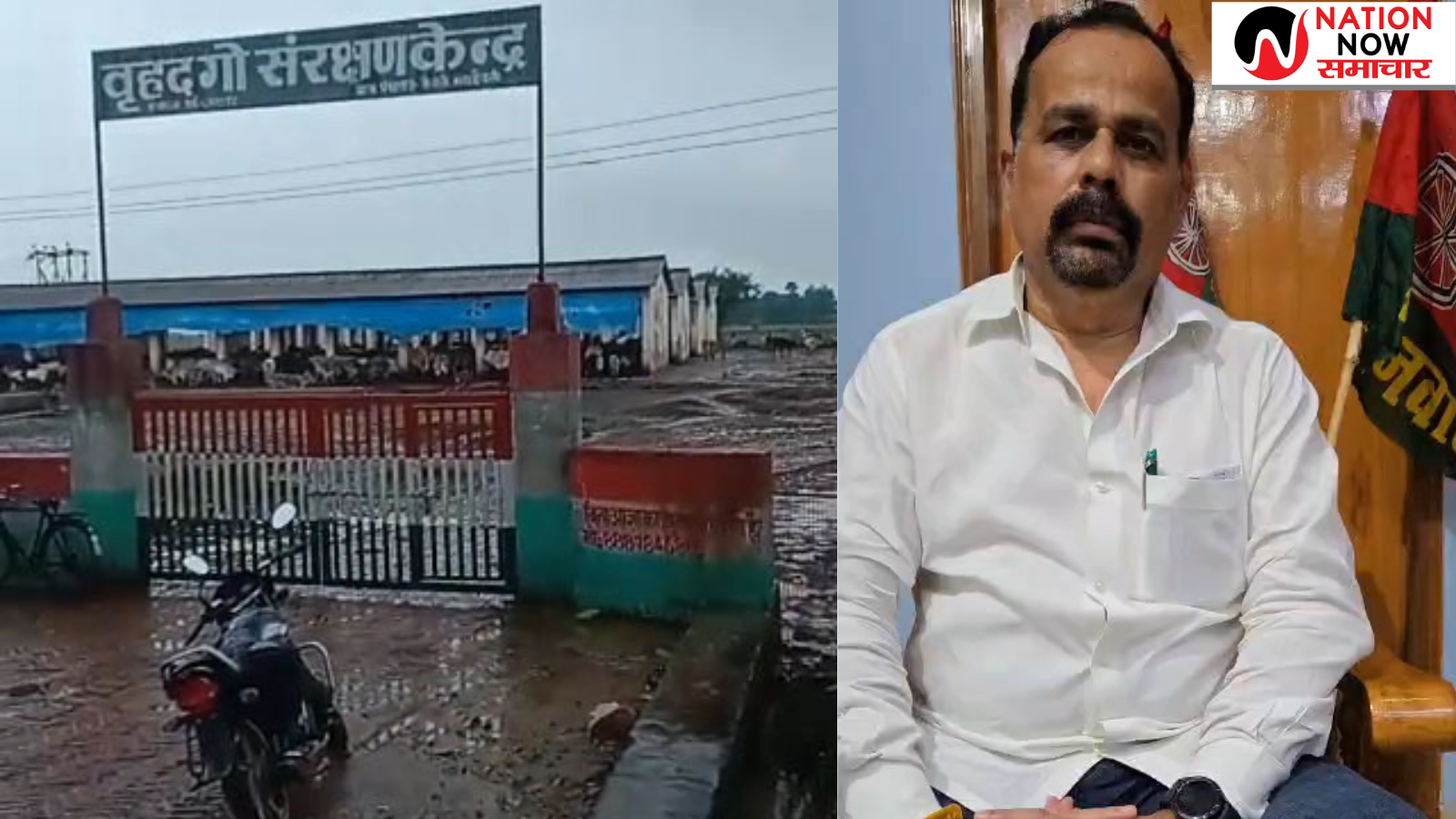 Sonbhadra Cow Shelter News: गोवंश आश्रय स्थल में मरणासन्न हालात, कई गोवंश मृत, पूर्व विधायक रमेश दुबे ने किया लाइव, प्रशासन पर उठाए सवाल