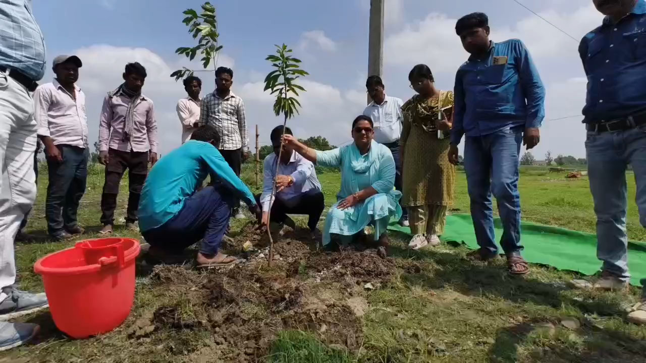 पीलीभीत में सीएम योगी के निर्देश पर “एकलव्य वन” की स्थापना शुरू, एसडीएम श्रद्धा सिंह ने किया पौधारोपण