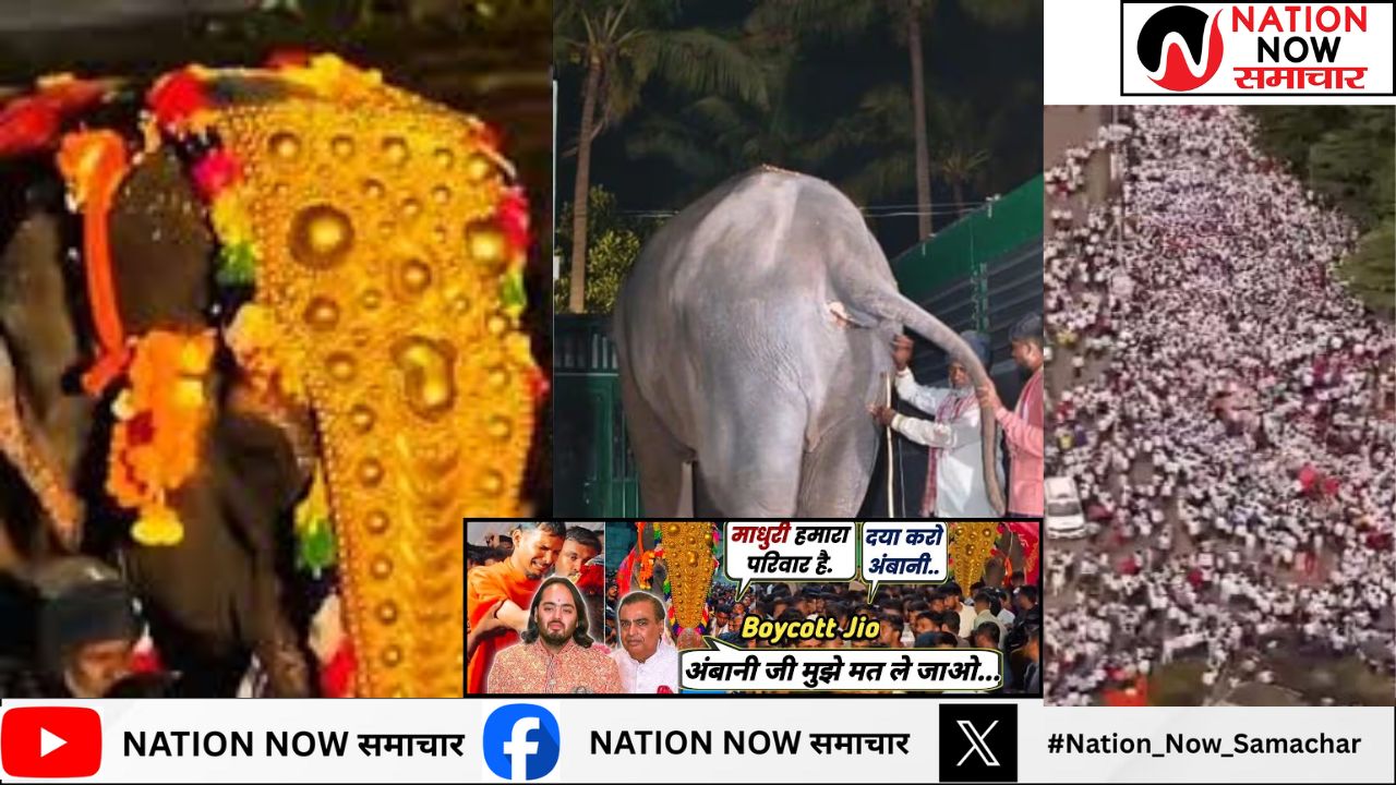 मठ से ‘माधुरी’ हथिनी को वनतारा भेजने का भारी विरोध, लोगों का मौन जुलूस, Jio पर भी गुस्सा