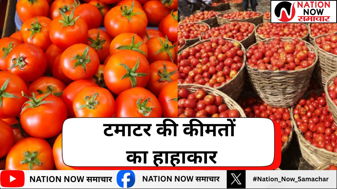 टमाटर की कीमतों का हाहाकार: दिल्ली में 90 रुपये किलो तक पहुंची कीमतें, आम आदमी की रसोई पर सीधा असर