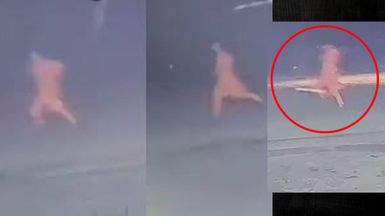 यूपी: बलरामपुर में मूकबधिर युवती के साथ पुलिस चौकी के पास दुष्कर्म, 14 सेकंड का वीडियो वायरल होने के बाद हंगामा