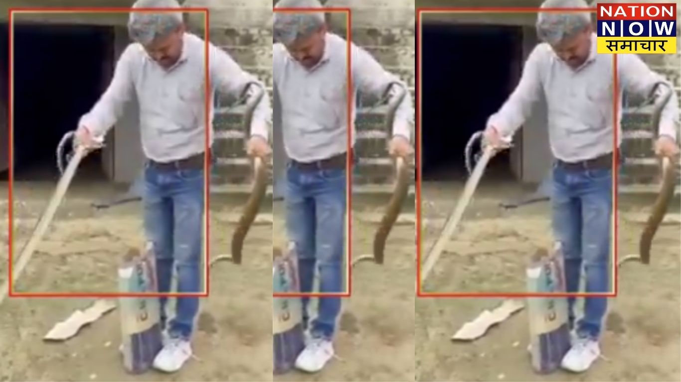 Hamirpur snake viral video-सांपों से खेलते युवक का वीडियो वायरल, देखकर रह गए लोग हैरान