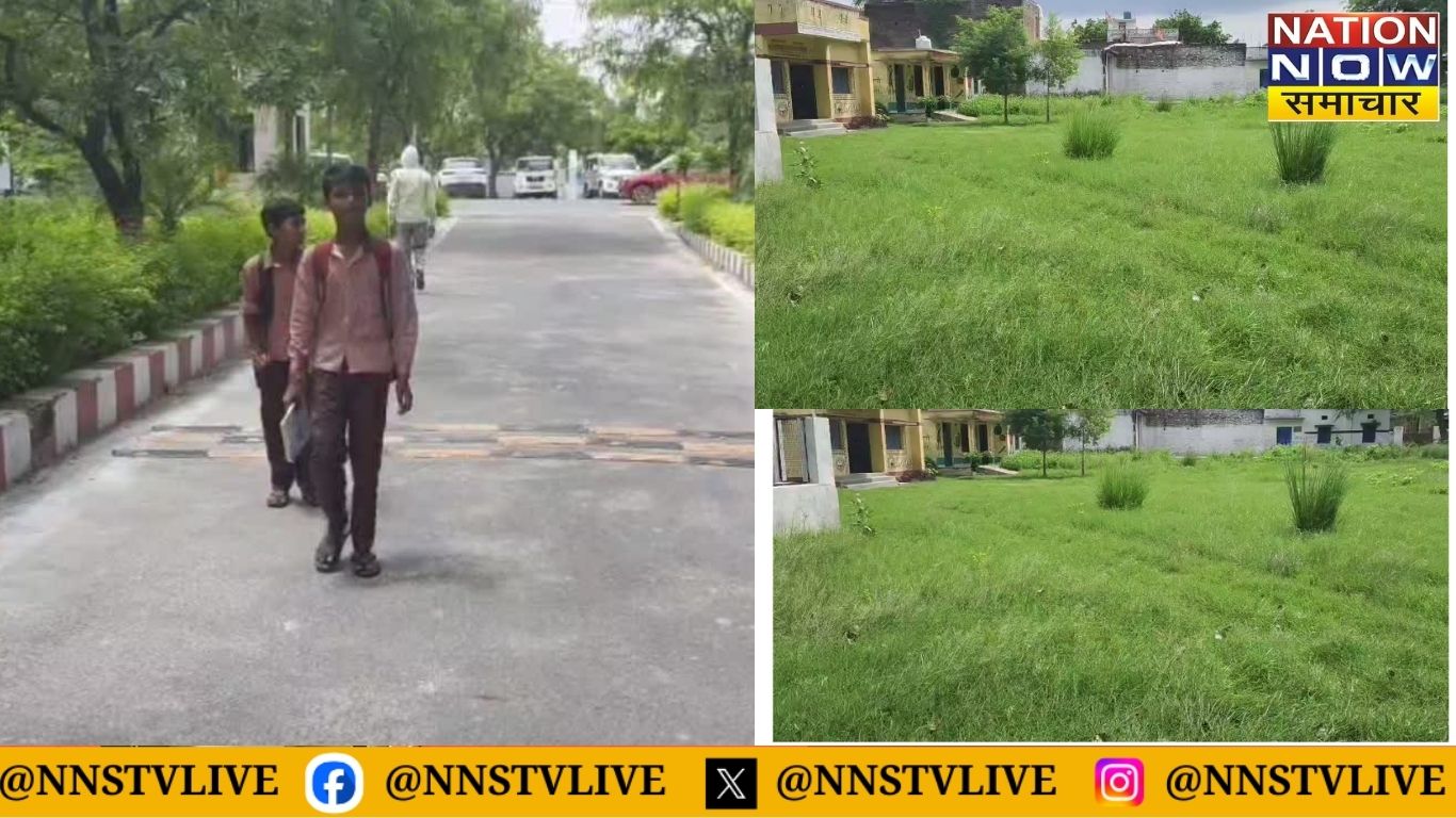 Kanpur Dehat News: मासूम बच्चों से घास कटवाने का फरमान, शिकायत लेकर पहुँचे डीएम ऑफिस