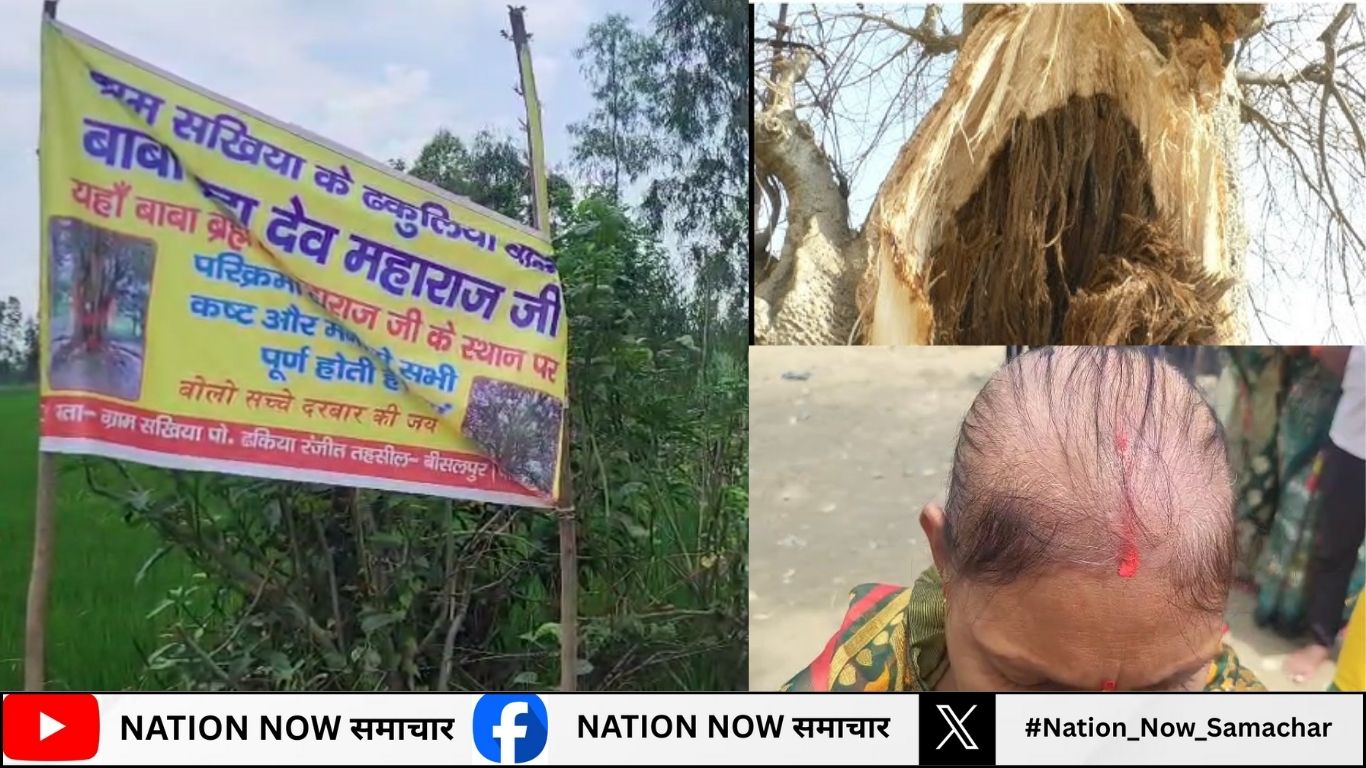 पीलीभीत: 100 साल पुराने पीपल के पेड़ को लोग मान रहे चमत्कारी, परिक्रमा से कैंसर और फालिज तक ठीक होने का दावा