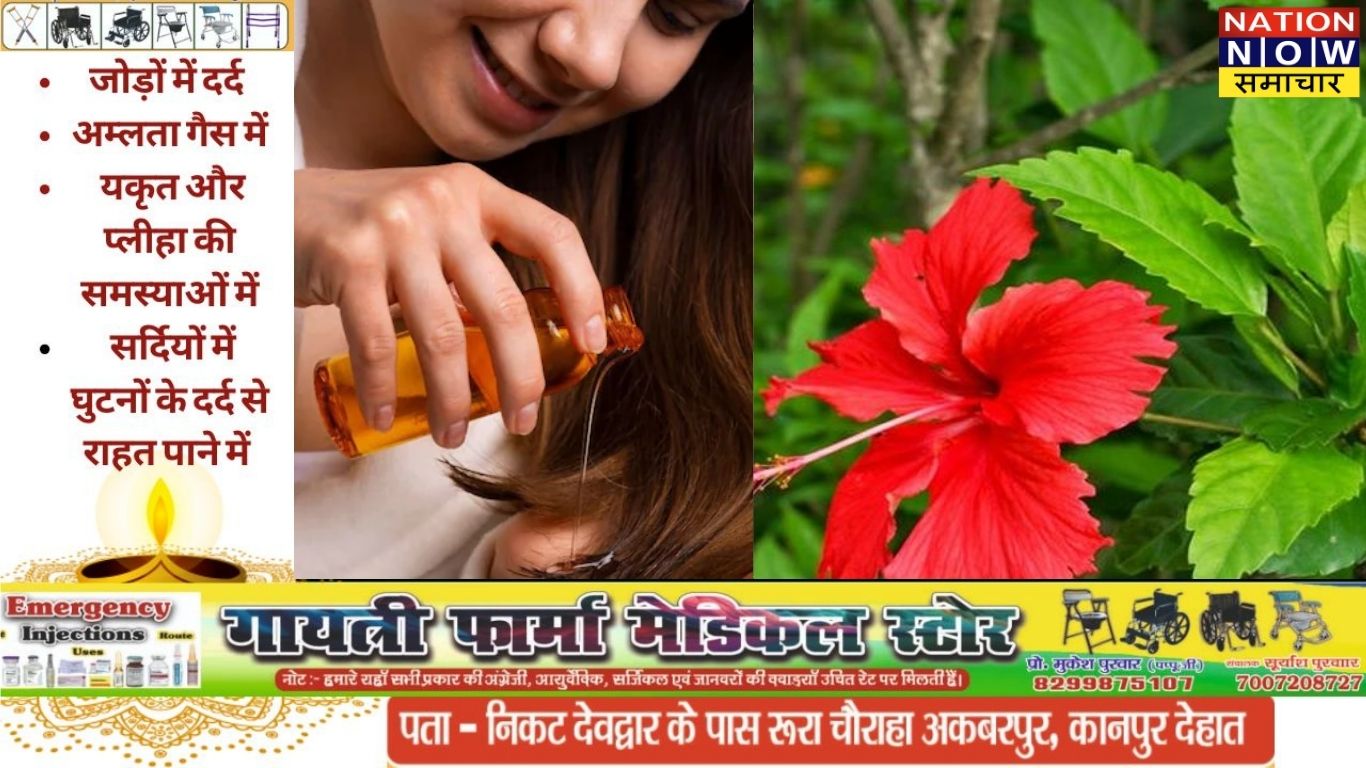 Hair Fall Treatment in Hindi: मेथी और गुड़हल से बाल झड़ने की समस्या का आयुर्वेदिक समाधान