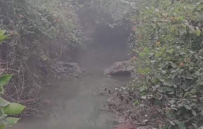 फर्रुखाबाद में बंबे की सफाई न होने से फसल जलमग्न, किसान परेशान